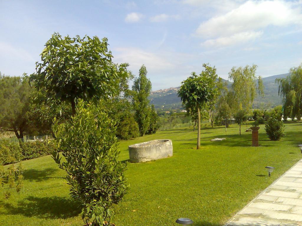 Agriturismo Podere Ossaia Cortona Værelse billede